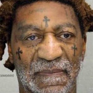 Meet your Posher, Lamarr